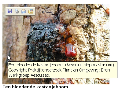 Als je weer over de foto gaat komt er weer een hint.
